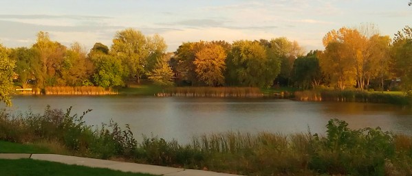 Panaramic pond by Ann Ciarico